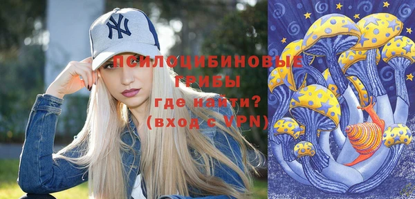 бошки Абаза